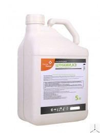 Цунами, КЭ Цунами, КЭ